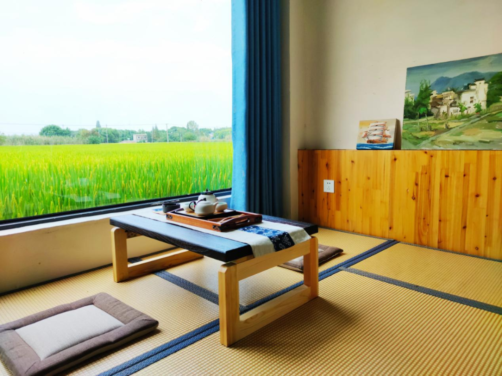 藏在芜湖美丽的民宿里