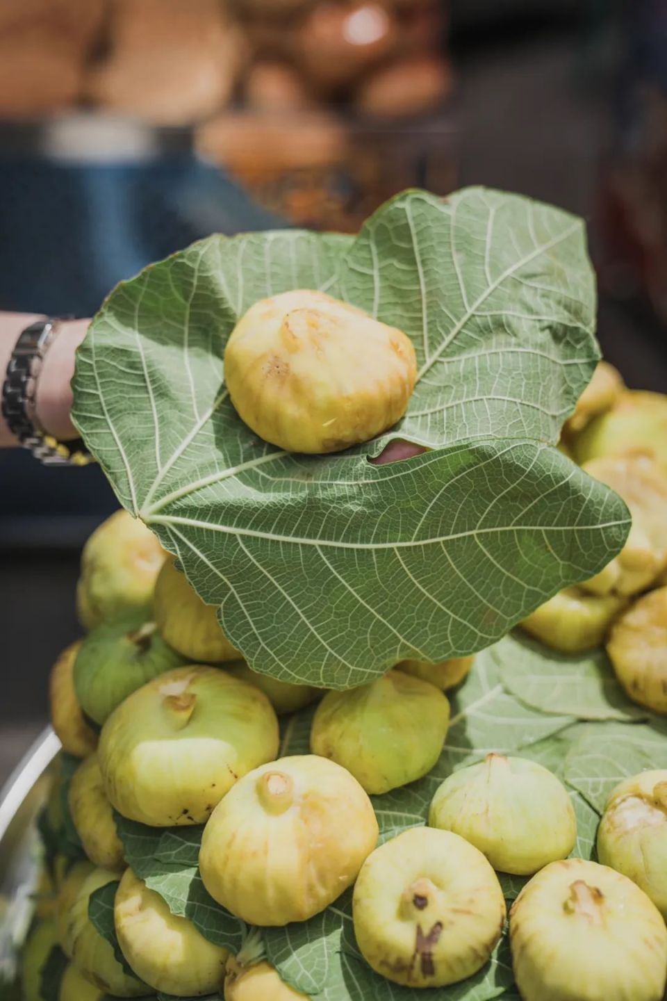 "无花果请醒醒,我要吃你了"