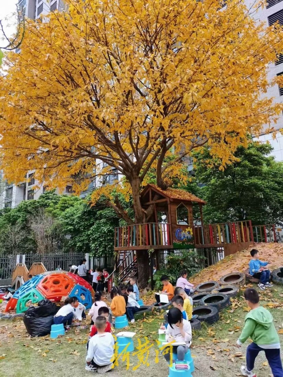 番禺洛浦创"双普":从"家门口的幼儿园"出发,创建儿童友好成长环境