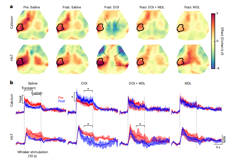动物怎么测血氧Nat Neurosci：致幻剂如何欺骗大脑的血氧信号？华盛顿大学团队揭示其通过解耦神经血管耦合欺骗大脑的机制​_https://www.jmylbn.com_新闻资讯_第4张