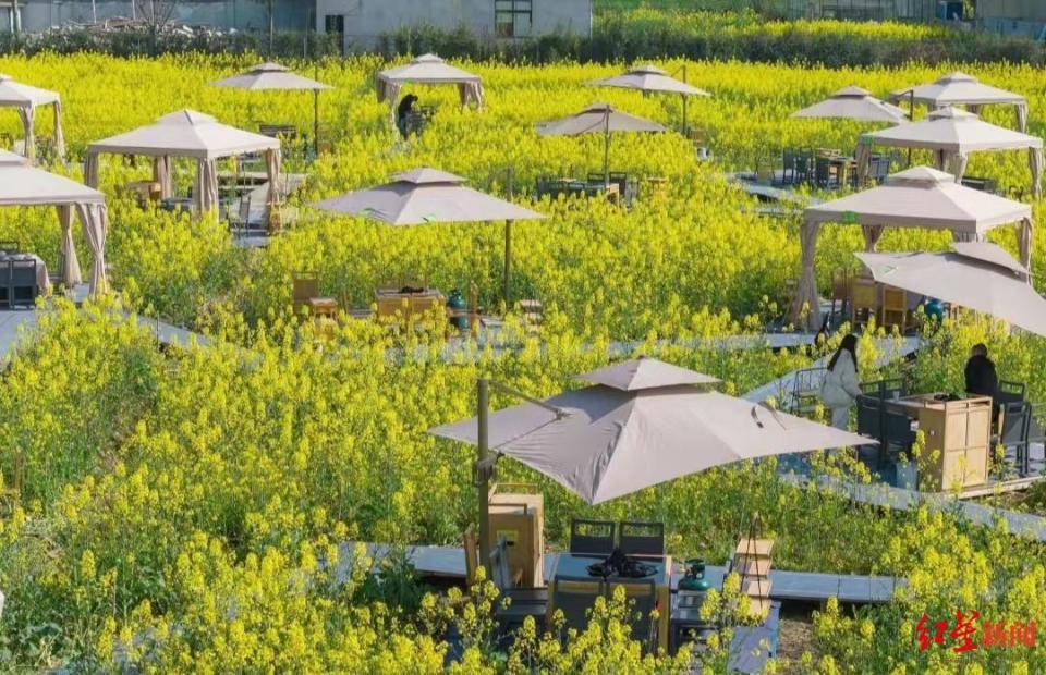 成都近郊的几家"花田火锅店"告诉红星新闻记者,随着气温的逐渐上升