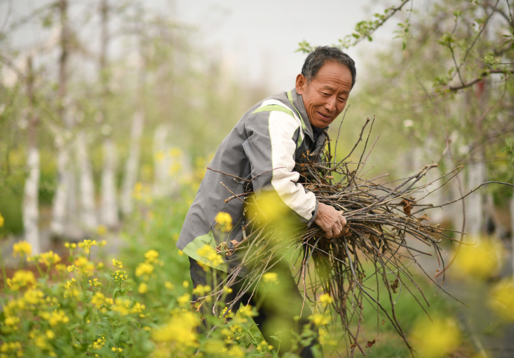 四季中国丨春访南沟村