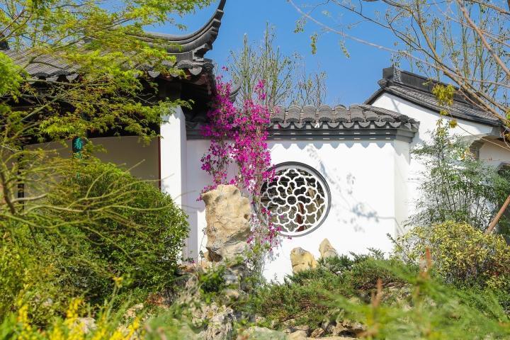 国际园艺生产者协会向世界推介成都_腾讯新闻