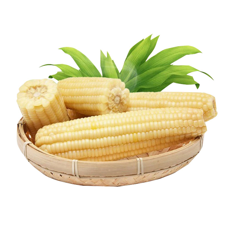 裕农团购61好物推荐一家老小都能吃的粗粮小可爱海南小甜糯玉米3月