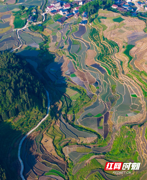 组图 | 中方江坪梯田美景如画