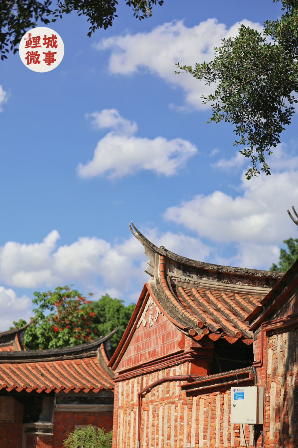 古城夏日"漫画云",承包你的手机壁纸!