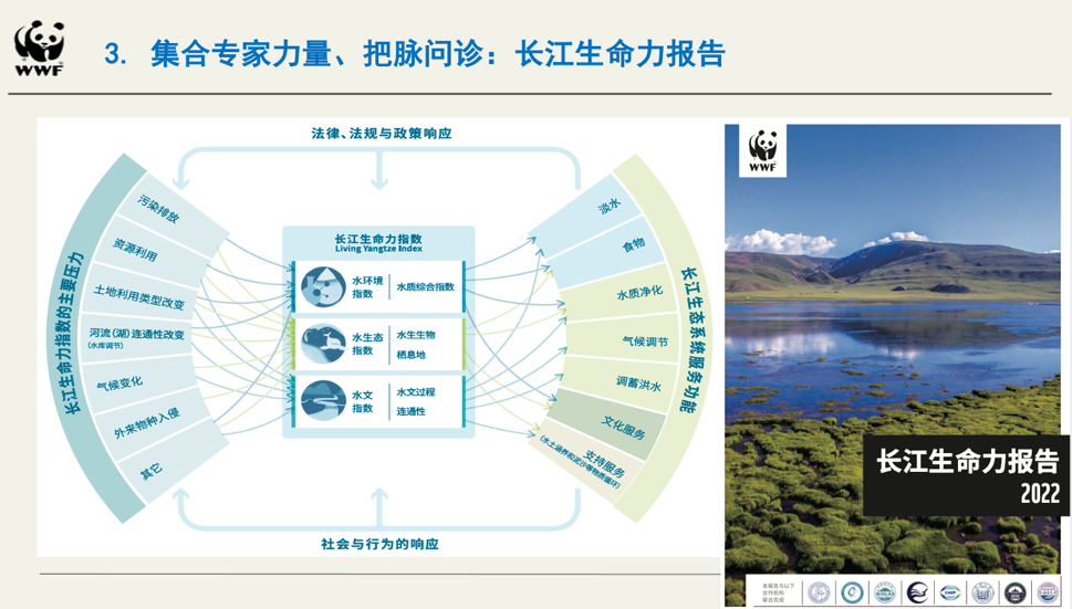 长江生命力报告2022任文伟多方助力长江生命力恢复