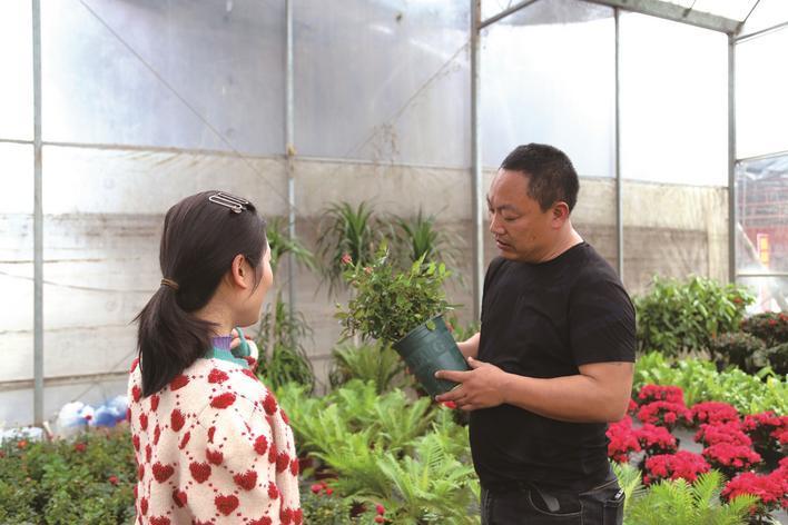 湖南花卉苗木（湖南花卉苗木基地在哪里）