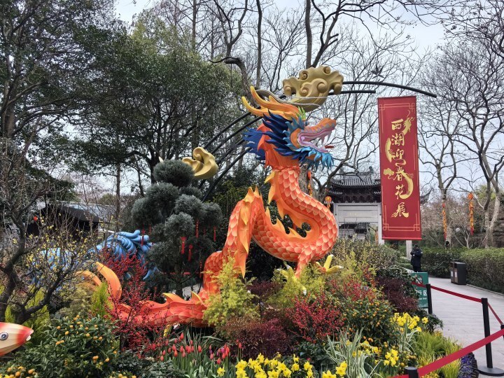 主播尋龍手記 | 西湖迎春花展開幕!錢王祠有哪些龍