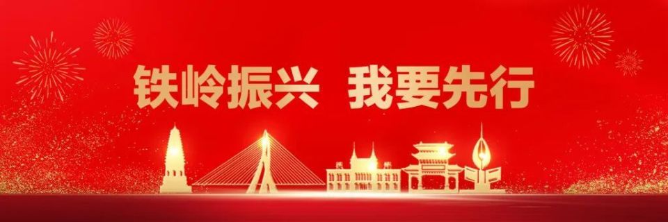 驻村第一书记来自各条战线各有特色本领所驻乡村村情不同需求各异在第
