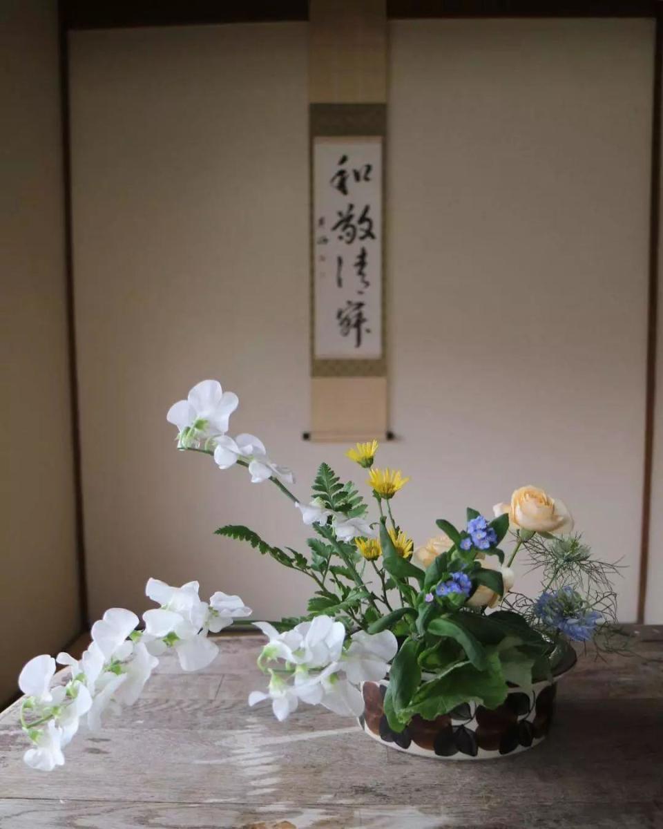 绝美插花 · 200例_腾讯新闻