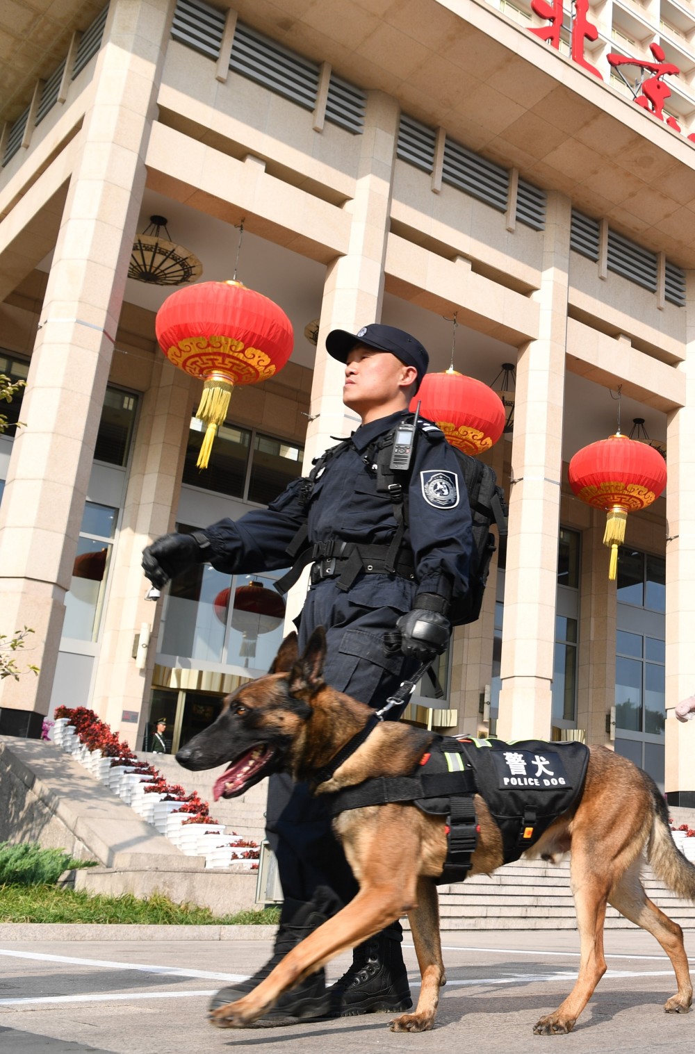 警犬队的故事:70年的变与不变