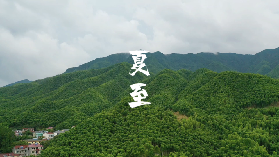 展览现场 "夏至" 视频截图配乐:瓦格纳《汤豪舍》序曲夏天的日子已经