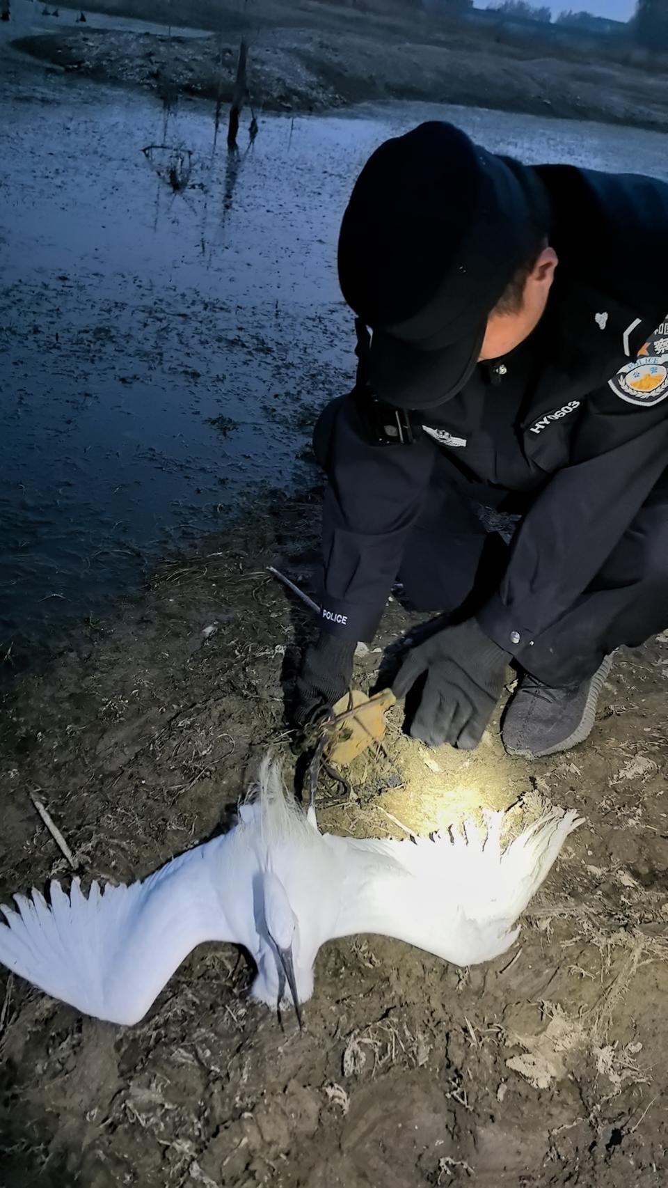 市民河边遛弯发现一只受伤的鸟,民警救助发现是国家二级保护动物_腾讯