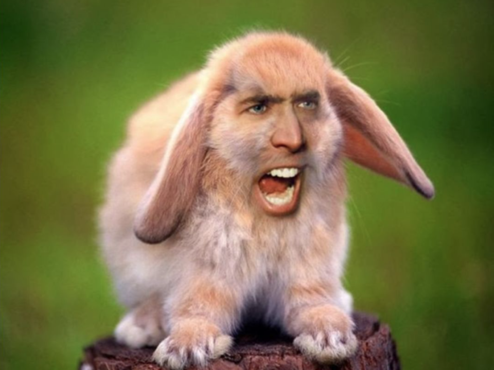 憋笑结果发现憋不住于是狂笑"的经典表情包起初还只是玩梗凯奇做出的