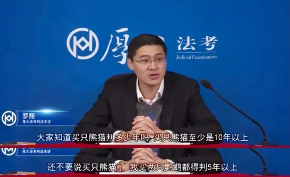 从没见过话这么多的顶流_腾讯新闻