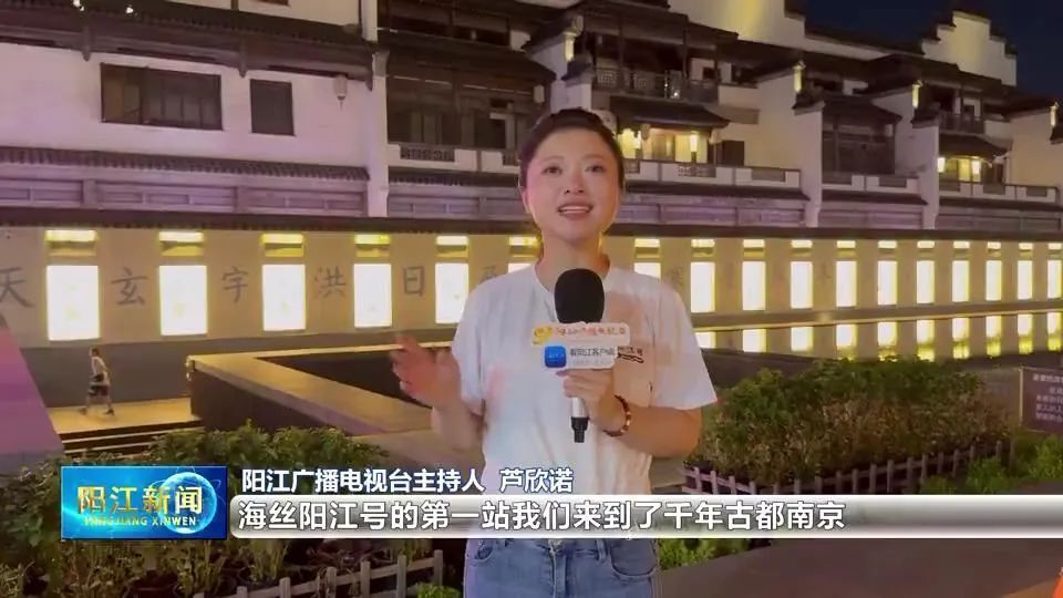 陆海丝绸之路的奇妙相遇之三 | 南京:十朝都会的海丝印记