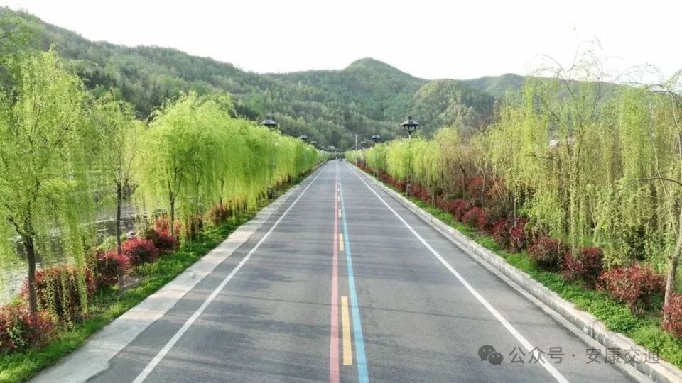 安康这些以路为景的地方,你去过吗?【959分享】