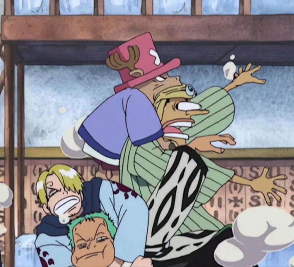 海贼王的日常,草帽团内部打架简直就是流氓互殴