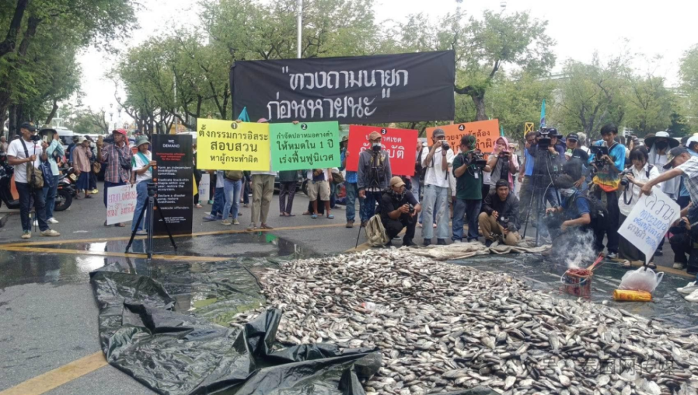 泰国爆发游行！2吨死鱼砸向政府！_腾讯新闻