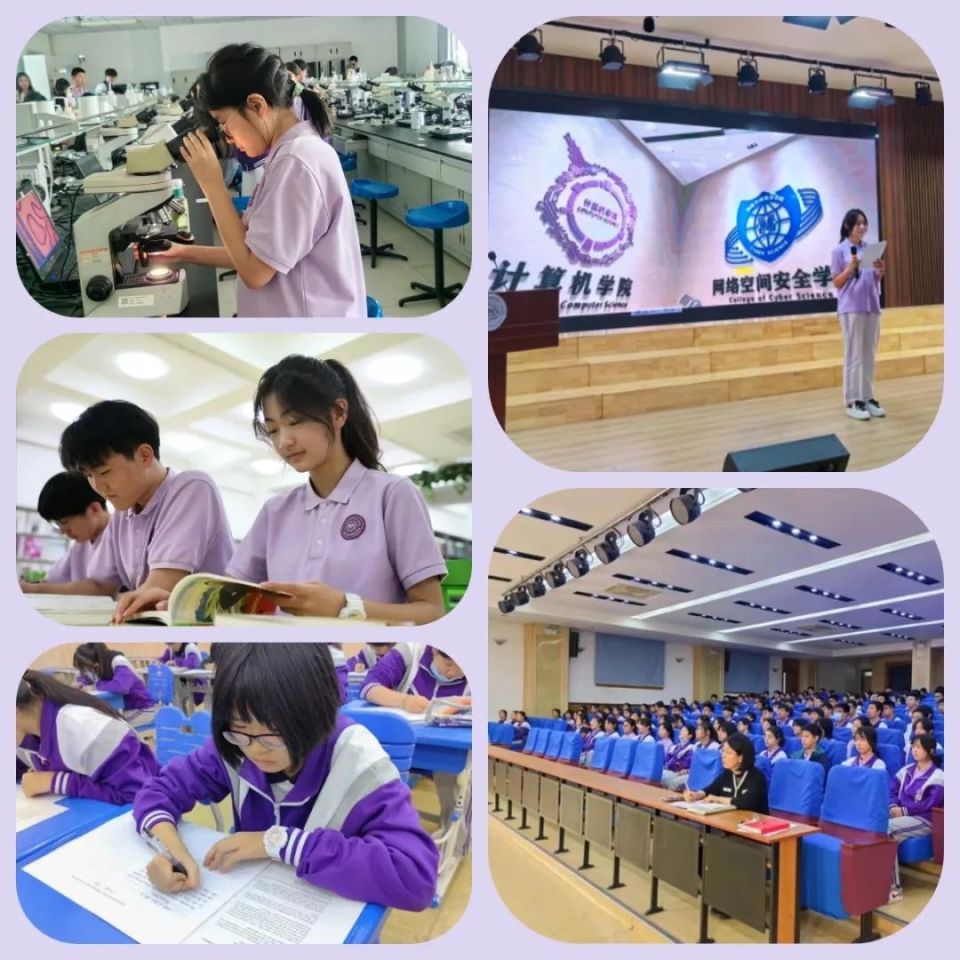 河西区翔宇小学图片