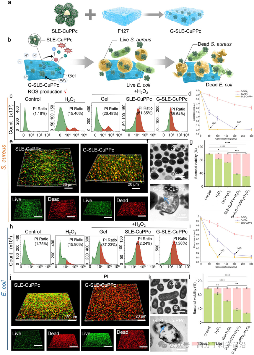 抗菌水凝胶怎么操作四川大学马朗、程冲、罗红团队《AFM》可注射刺状人工过氧化物酶复合水凝胶，用于生物适应性和协同对抗子宫内膜感染_https://www.jmylbn.com_新闻资讯_第5张