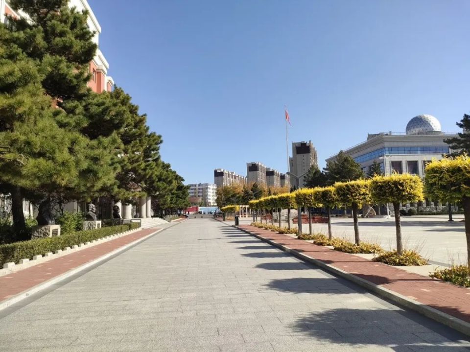 公告丨5月25日松原市实验高级中学2024年"校园开放日"