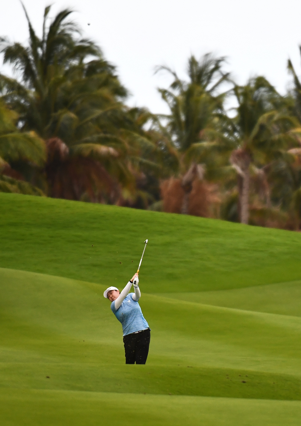 高尔夫——2024蓝湾大师赛开赛