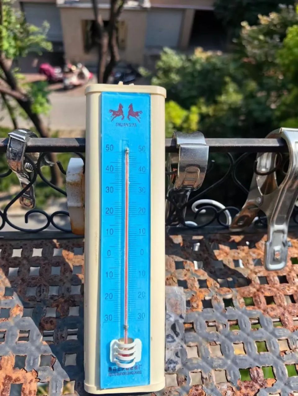 40度高温下,迪士尼城堡都变"难民营"!