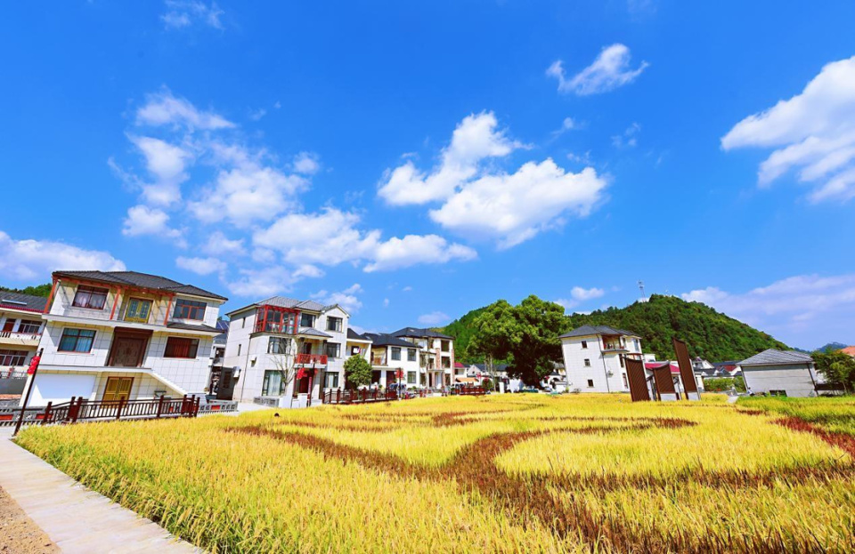 绘就美镇蓝图,临安区昌化镇谱写"一村一坊"新篇章