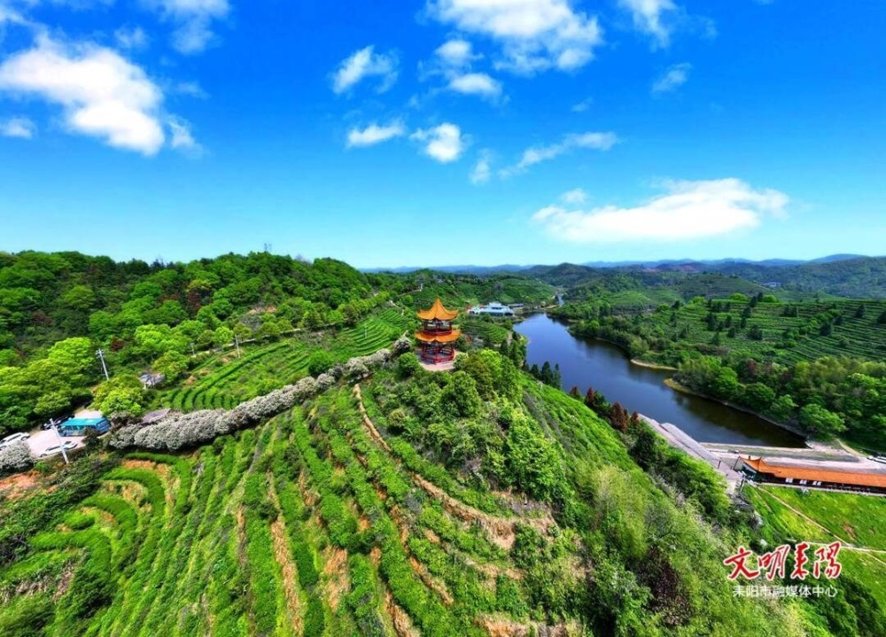 飘香"2023年耒阳市乡村文化旅游节之首届江头贡茶文化节启动_腾讯新闻