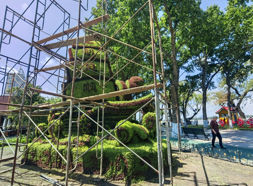 五色草景观扮靓冰城