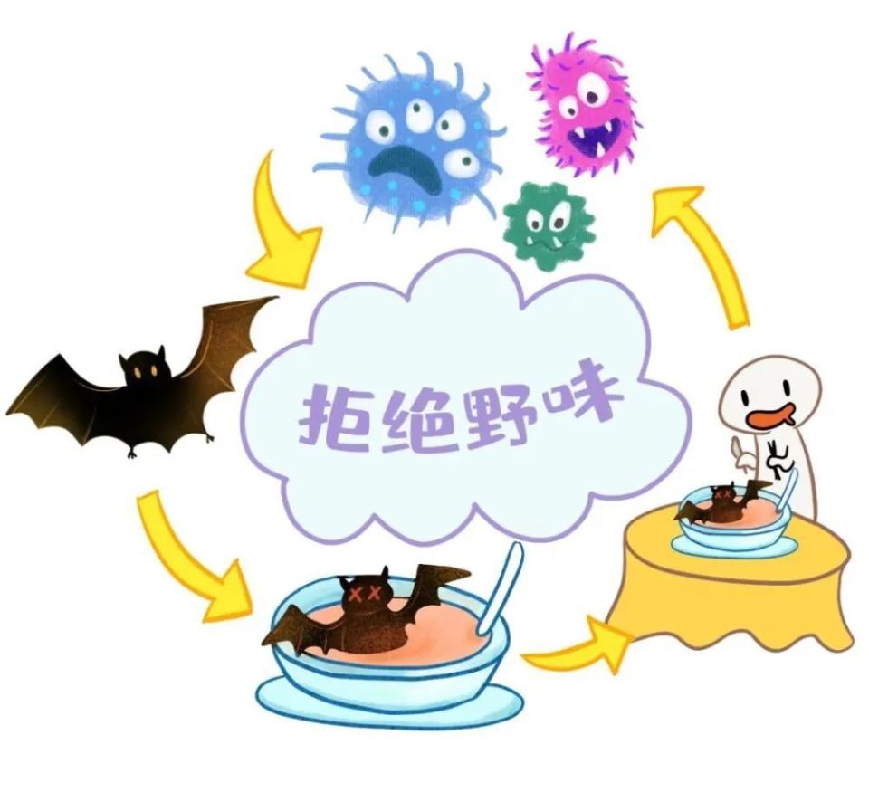 野味的营养价值真的很高吗?_腾讯新闻