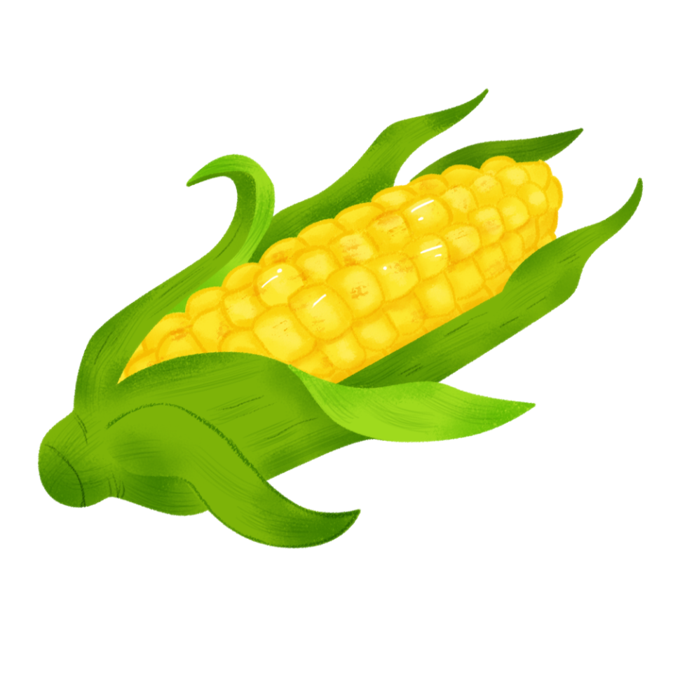 摄图网_401348055_手绘玉米(企业商用).png