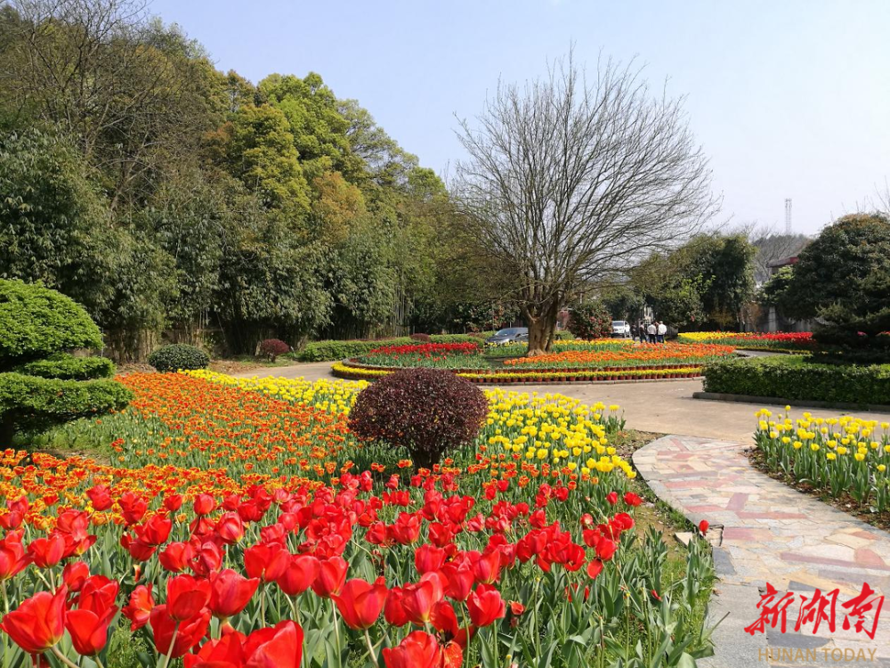 益阳北峰山森林公园日前正式对外开放,免费!_腾讯新闻