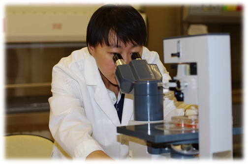 专访| 青年科学家李燕:坚持,就会看到不一样的风景-腾讯新闻