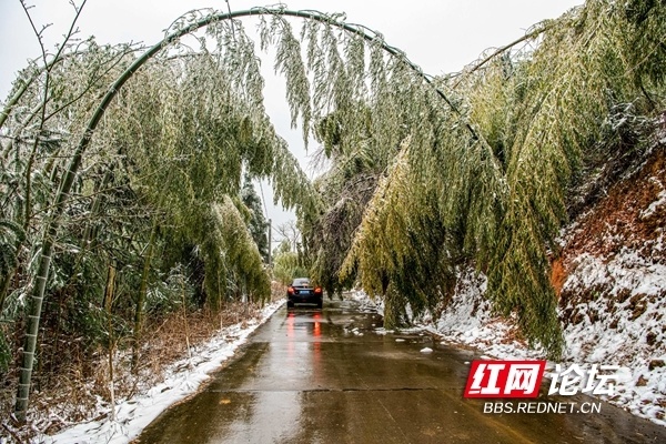 高处冰雪未融,探秘通道黄沙岗上这片冰雪世界_腾讯新闻
