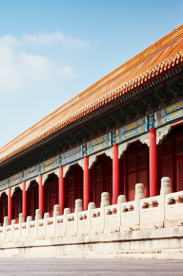 喜报 | 热烈祝贺外实校柔道队在"快乐之星"2024年