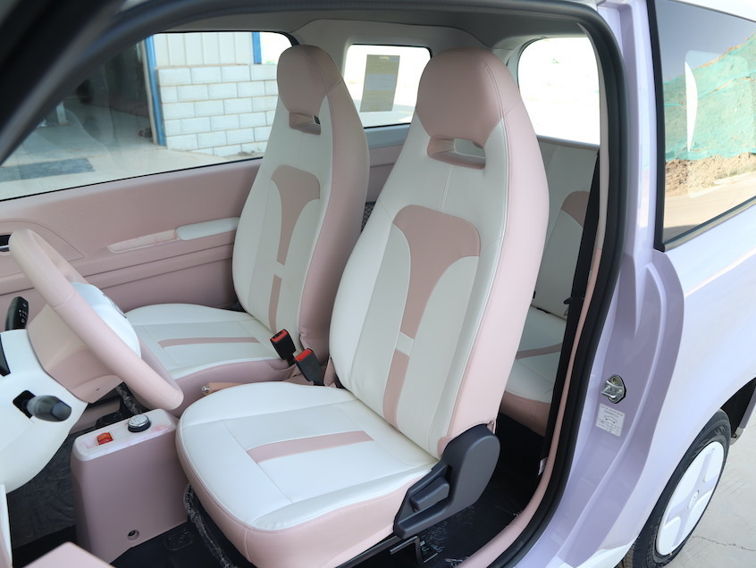 实用的配置以及强大的动力性能,成为了微型电动车市场的一颗璀璨明星