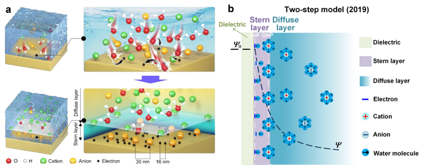 中科院纳米能源所魏迪研究员,王中林院士团队最新afm