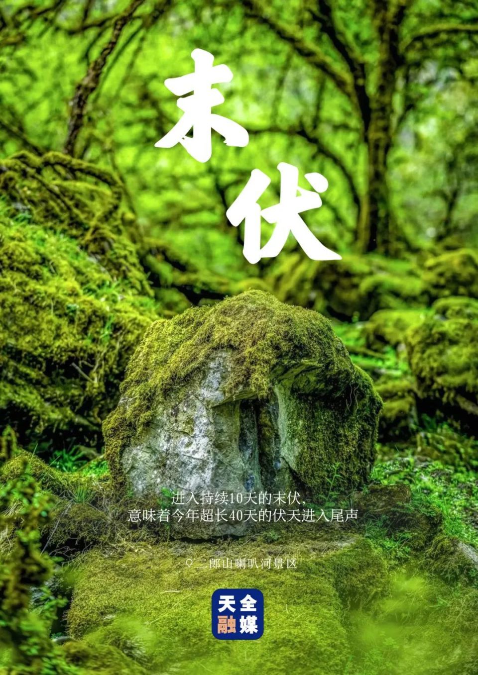今日末伏!静待秋凉