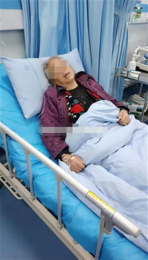 老太阻拦男子偷狗被推入菜地,家属:老人摔骨折,律师:盗窃行为转化为