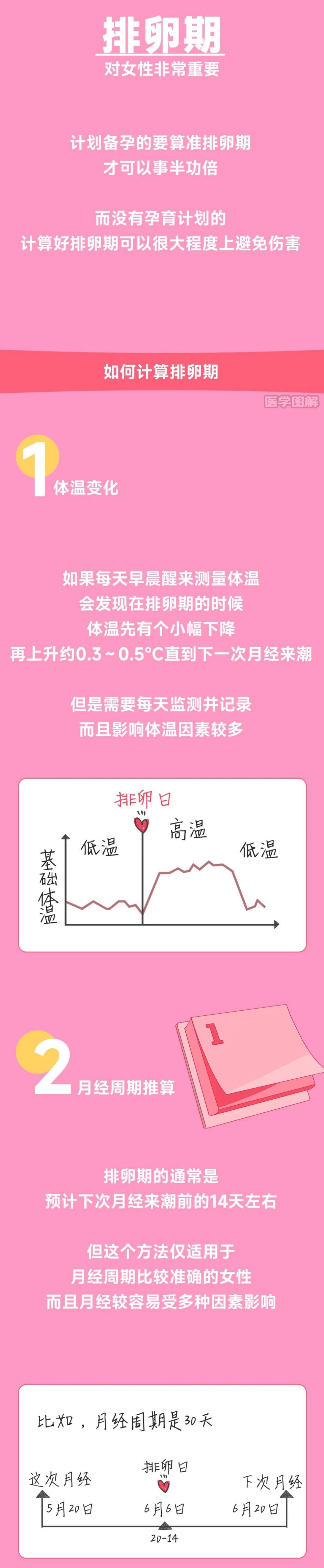 预测排卵期超强攻略~丨医学图解