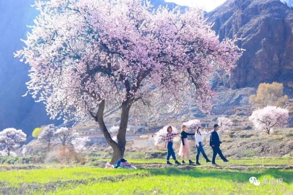 云览黄南 | 青春瀑布:从雪山走来向大海奔去