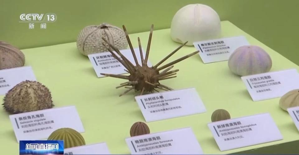 免费 首展 珍稀动物标本定格捕猎瞬间