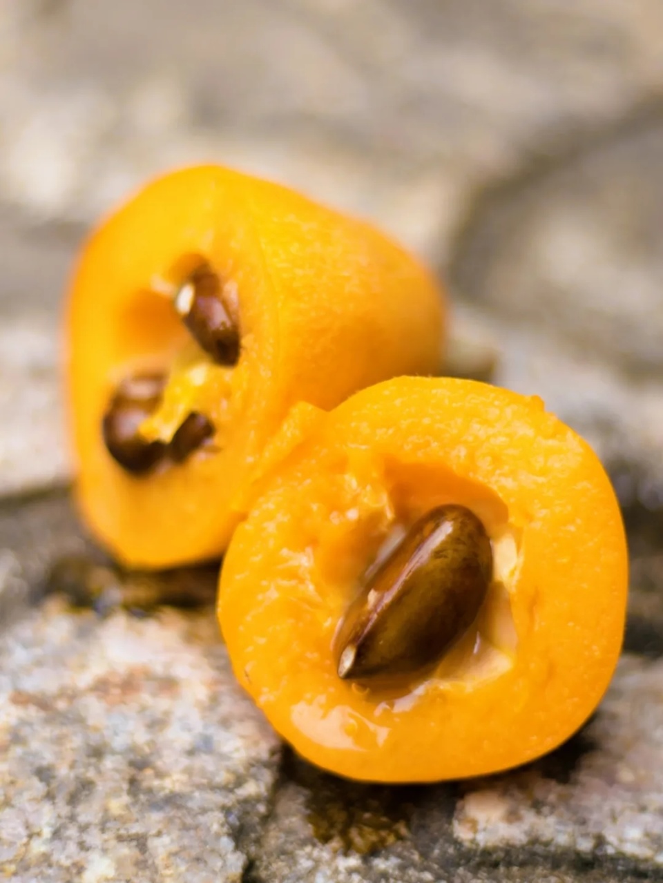 莆田枇杷的这些优点,你了解多少?