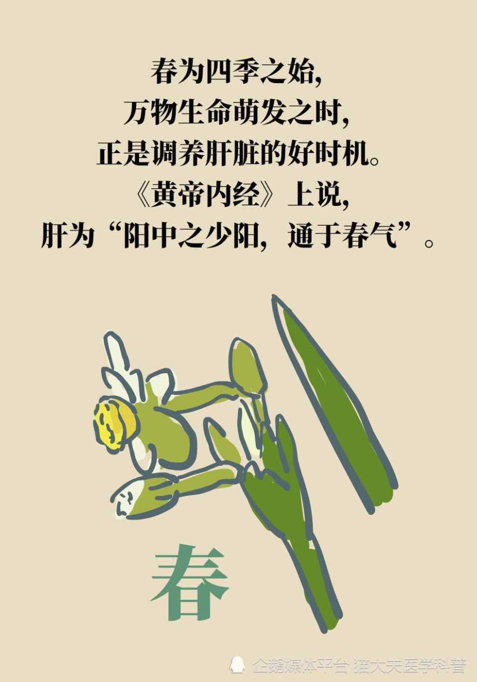 春季养肝图片文字图片