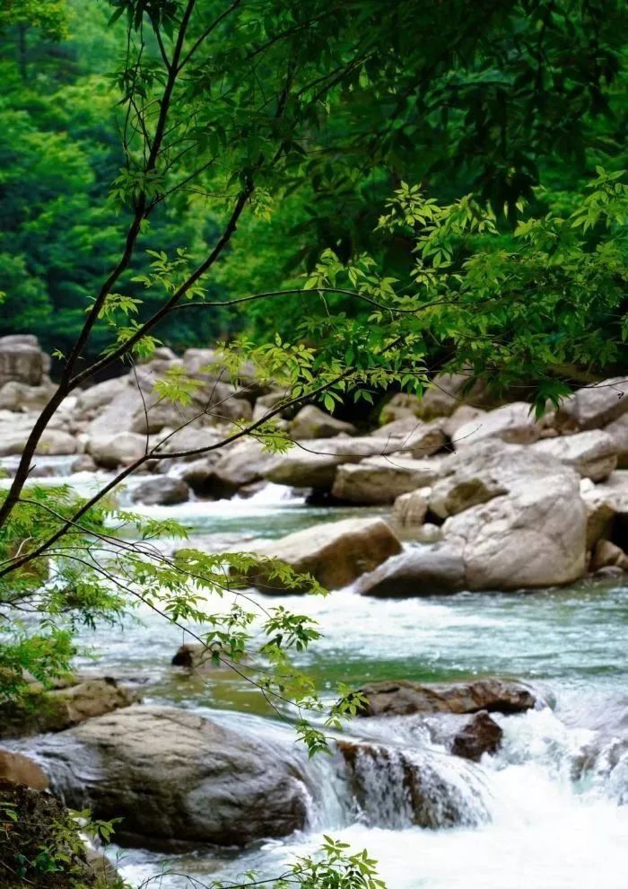 壁纸 风景 山水 桌面 700_990 竖版 竖屏 手机