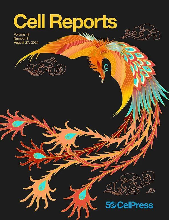 2024年8月，哪些研究登上了Cell Press期刊封面？_腾讯新闻