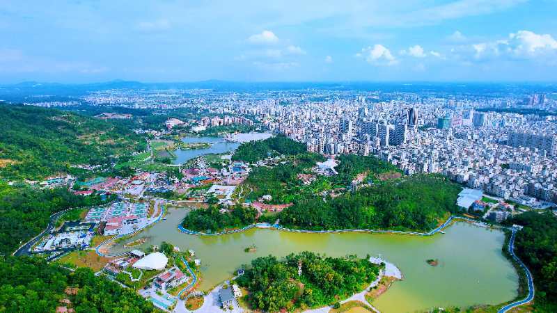 湛江唯一!廉江入选广东省首批新型城镇化试点名